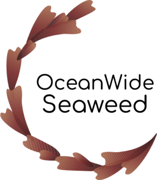 OcenWide Seaweed Logo