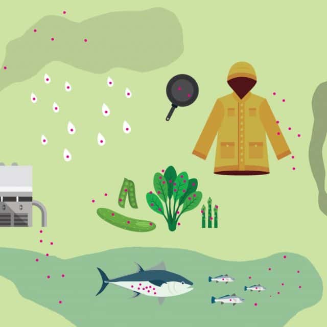 An illustration showing PFAS in a factory, a raincoat and a frying pan washing out into a lake, getting inside the fish and being ingested by people