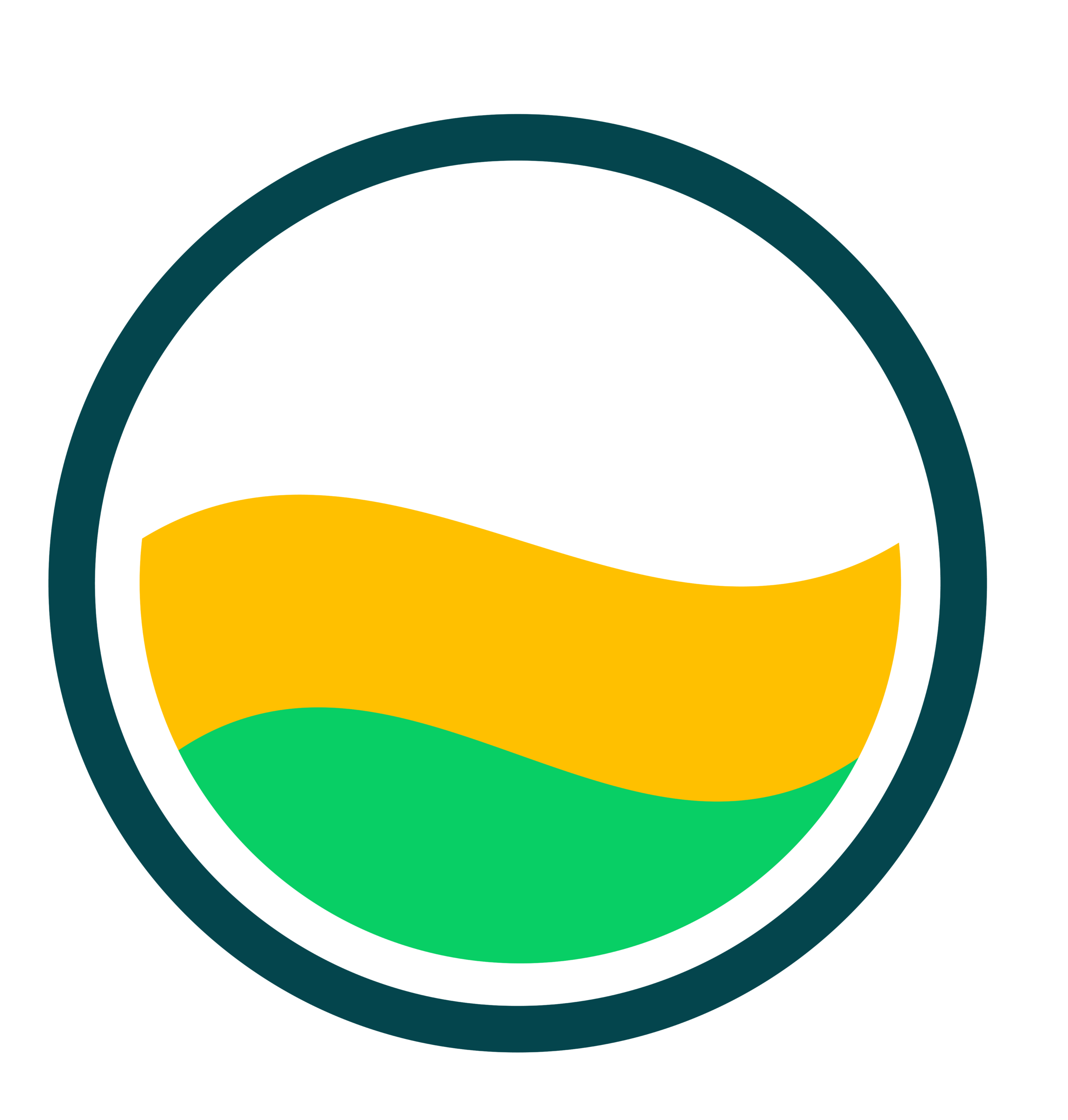 InFlowGo logo