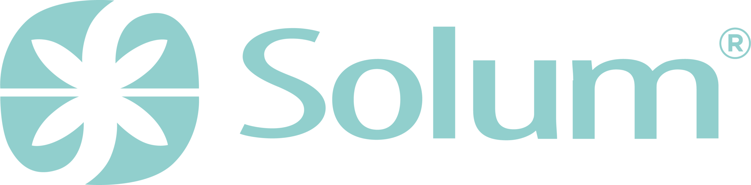 Solum logo