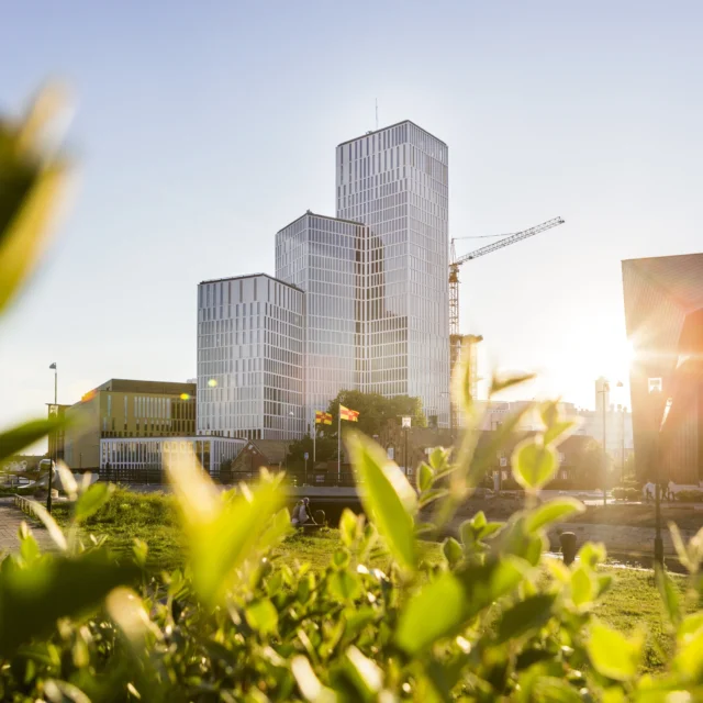 SMEBeyond strengthens growth for SMEs across borders in the South Baltic.