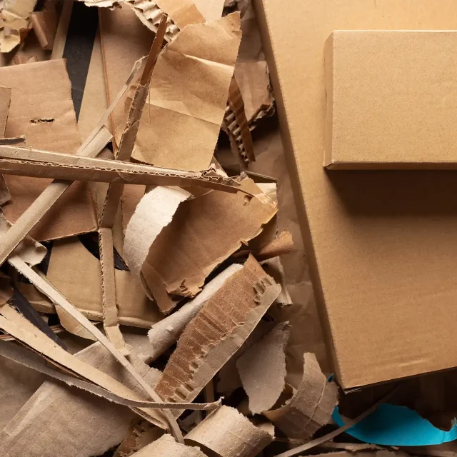 Cardboard Paper Waste