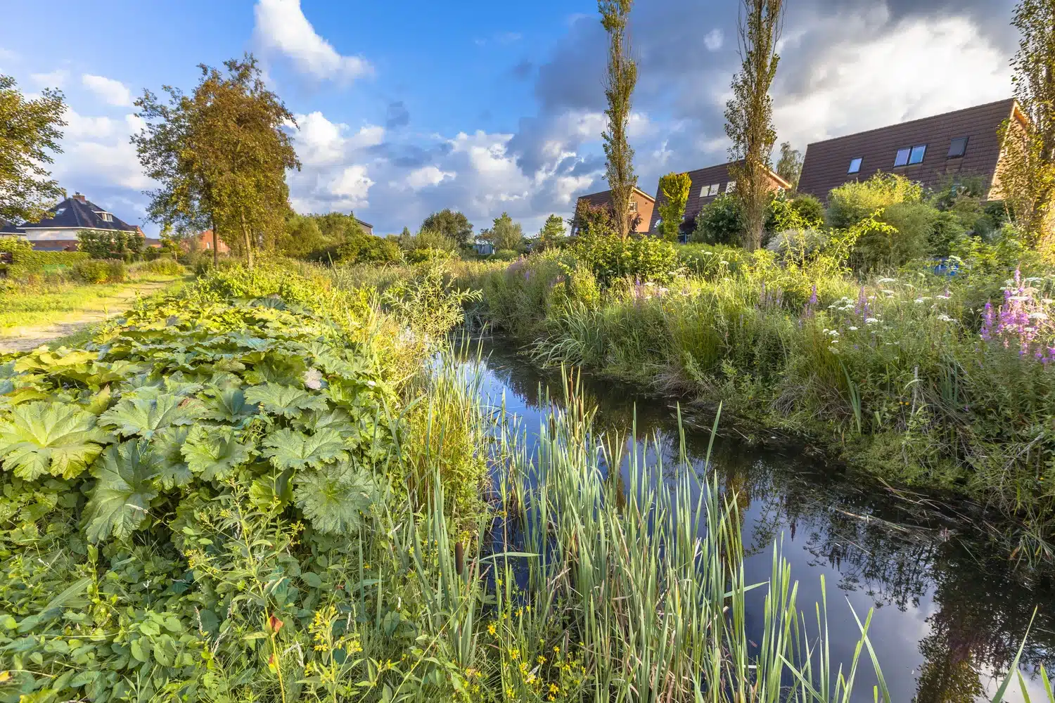 Theme Day Nature-based Solutions Monitoring Climate Adaptation 2024