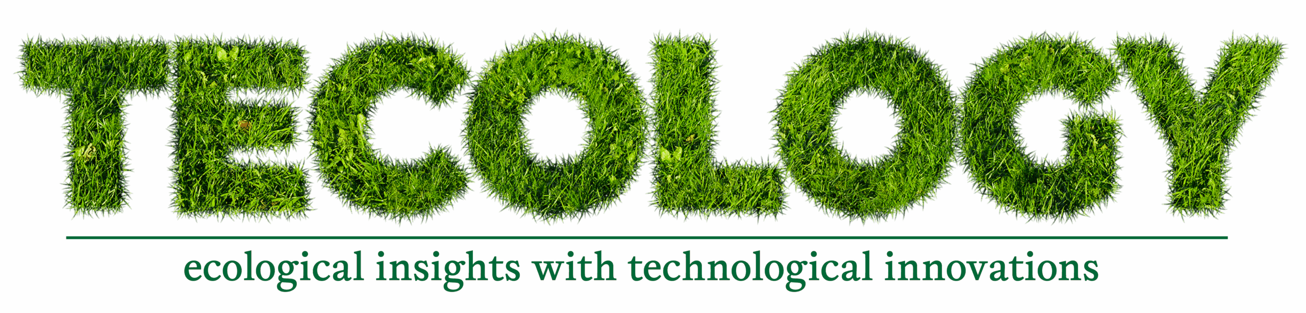 Tecology logo