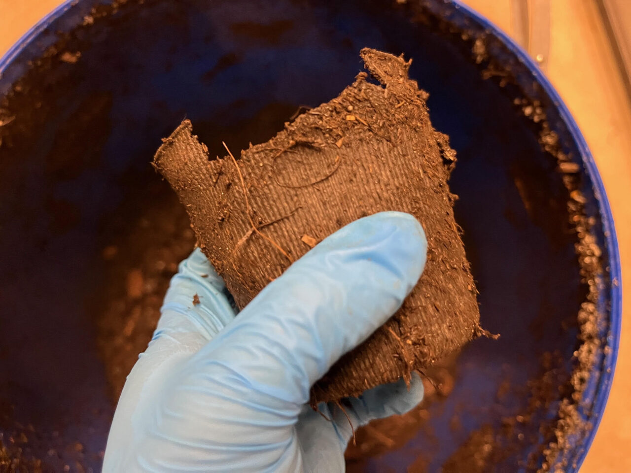 Compostable coffee cup