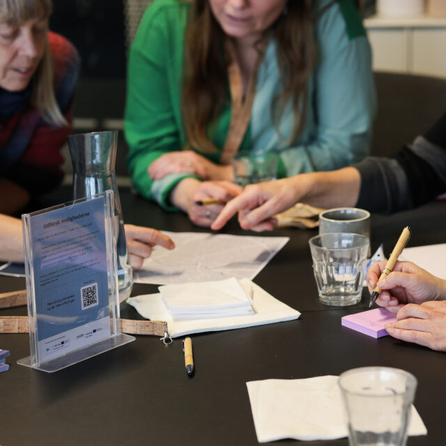 COP-workshop-januar-2025