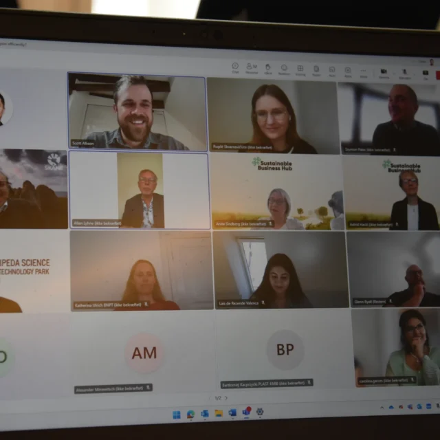 Speakers and participants during SMEbeyond webinar