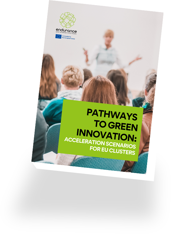 ENDURANCE Handbook illustration