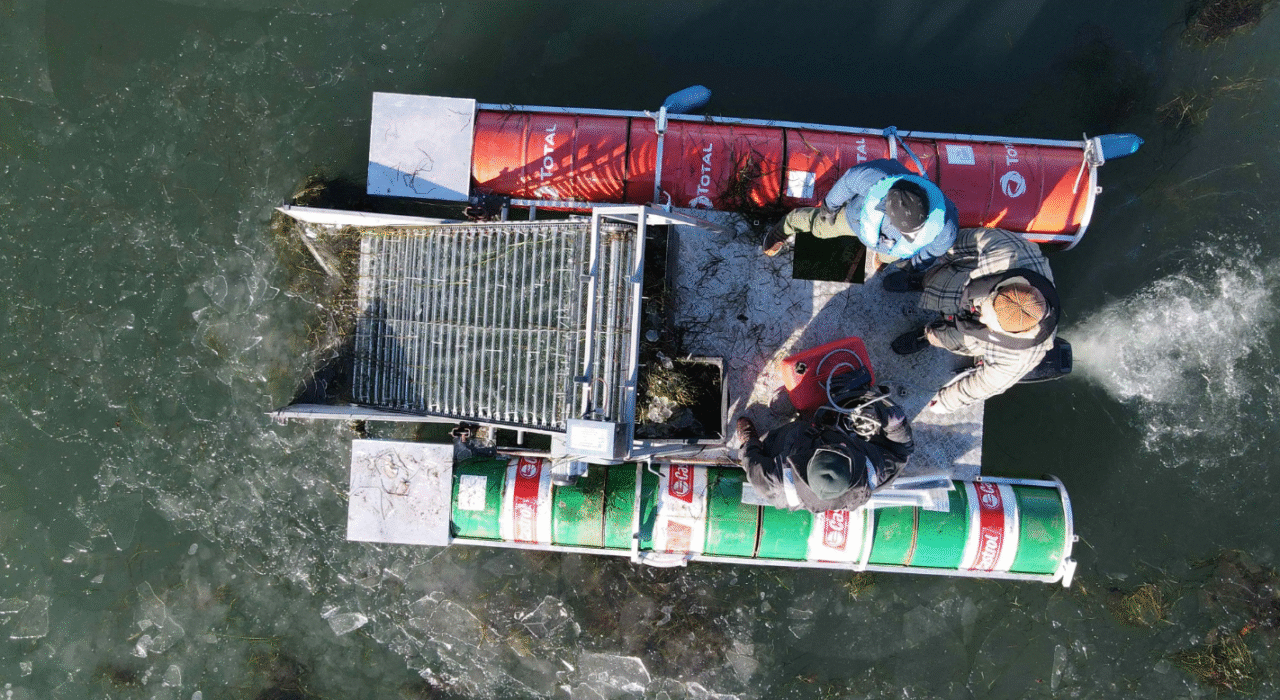 AI-støvsuger ude på et hav for at opsamle ålegræs