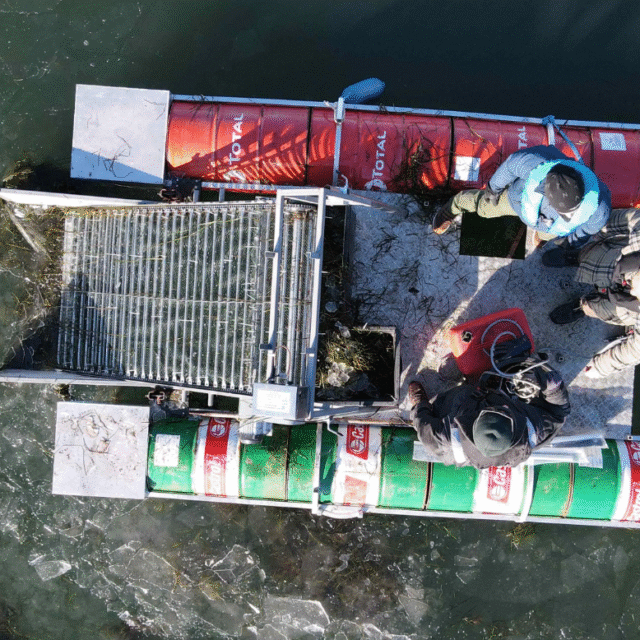 AI-støvsuger ude på et hav for at opsamle ålegræs