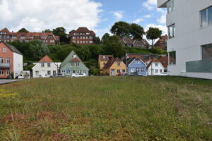 Huse i Sønderborg