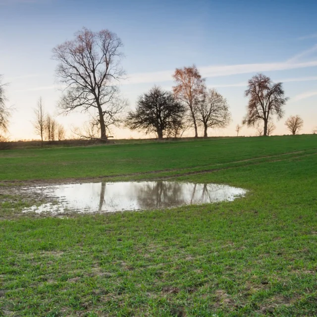 Terrænnært grundvand: Fra udfordring til forretningsmulighed for SMV’er og startups