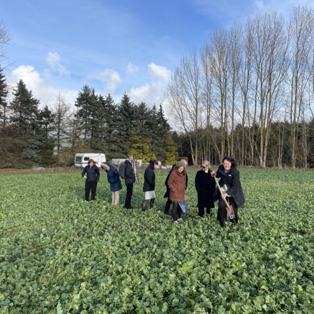 The carbon Removal and CCUS delegation walking in a green field with biochar