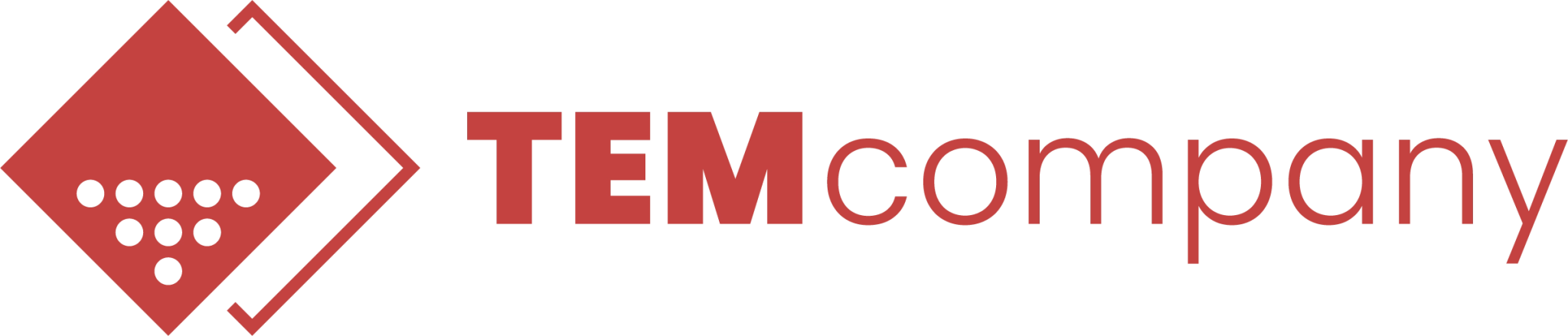 TEMcompany logo