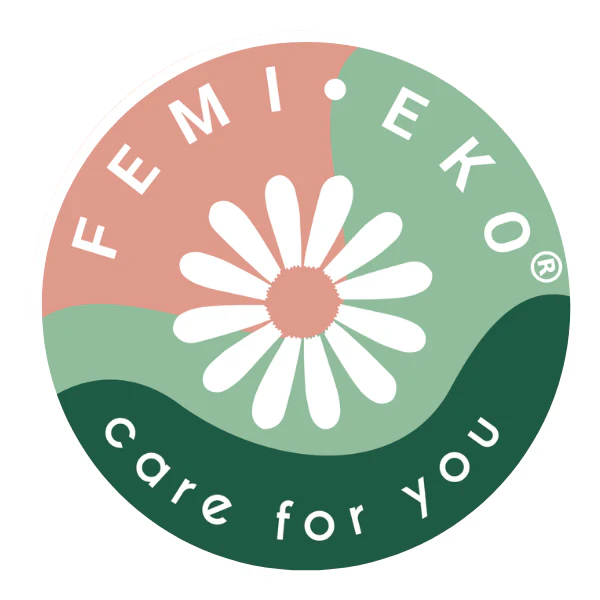 Femi.Eko logo